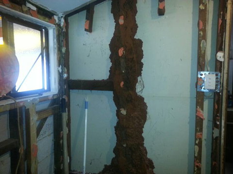 Red Centre Pest Control - Suburb Australia 1