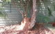 Red Centre Pest Control - thumb 3