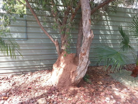 Red Centre Pest Control - Suburb Australia 3