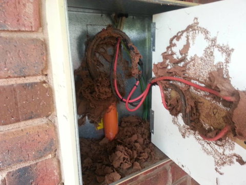 Red Centre Pest Control - Suburb Australia 4