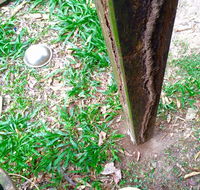 Country to Coast Pest Control - Suburb Australia