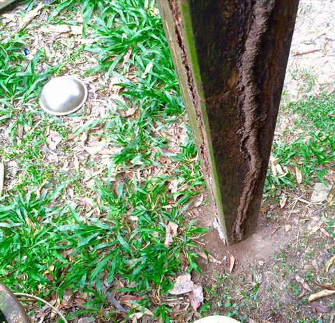 Country To Coast Pest Control - Suburb Australia 0