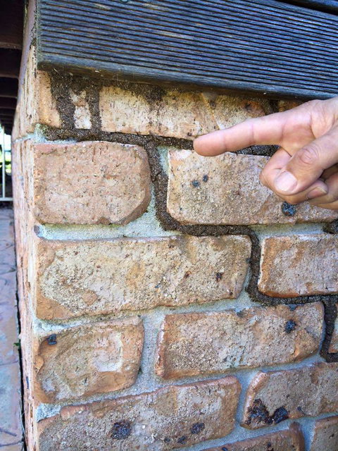 Country To Coast Pest Control - Suburb Australia 1