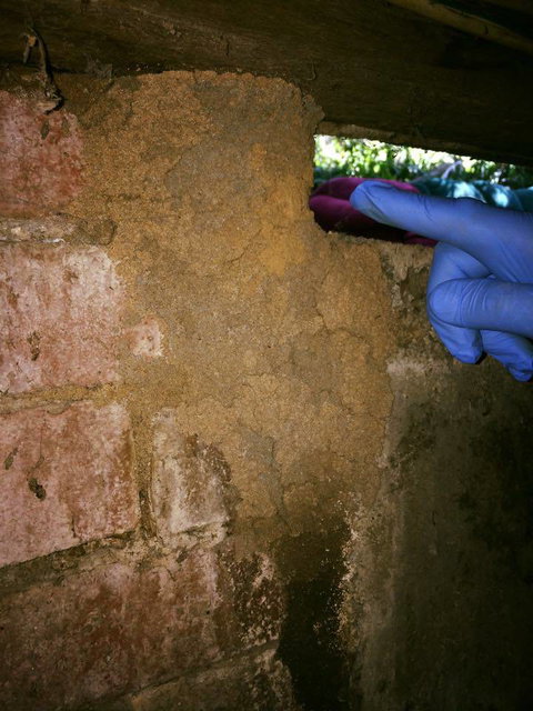 Country To Coast Pest Control - Suburb Australia 2