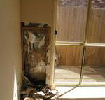 Complete Pest Control - Suburb Australia
