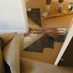 Complete Pest Control - Suburb Australia 2