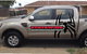 Statewide Pest Solutions - thumb 9