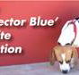 Blue Peace Pest Control - Suburb Australia