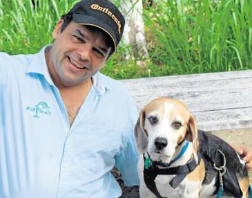 Blue Peace Pest Control - Suburb Australia 1