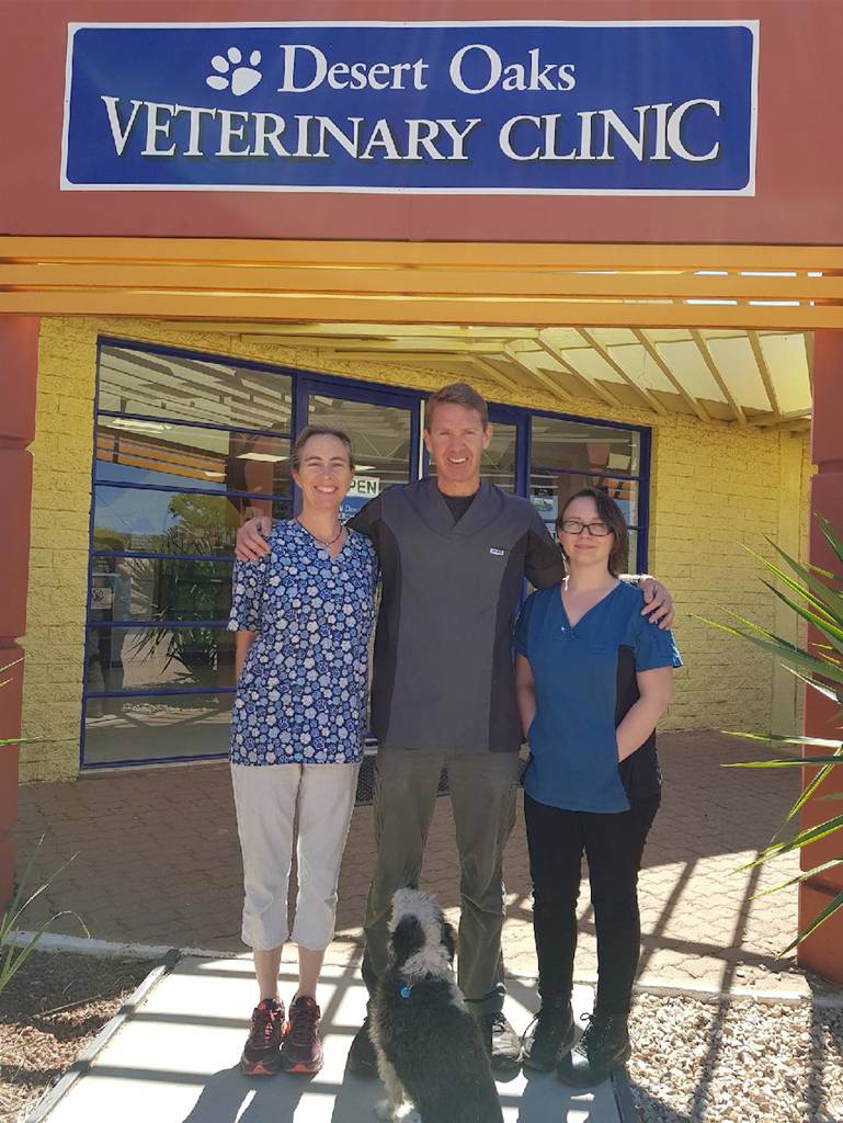 Vets Alice Springs NT Suburb Australia