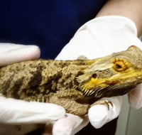 Parap Veterinary Hospital - Suburb Australia