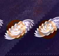 Hallowed Grounds Espresso - Suburb Australia