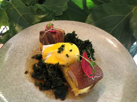 Nic And Kolo - Suburb Australia 0