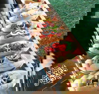 Balter Brewing Company - Suburb Australia