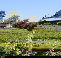 djinta djinta Winery - Suburb Australia