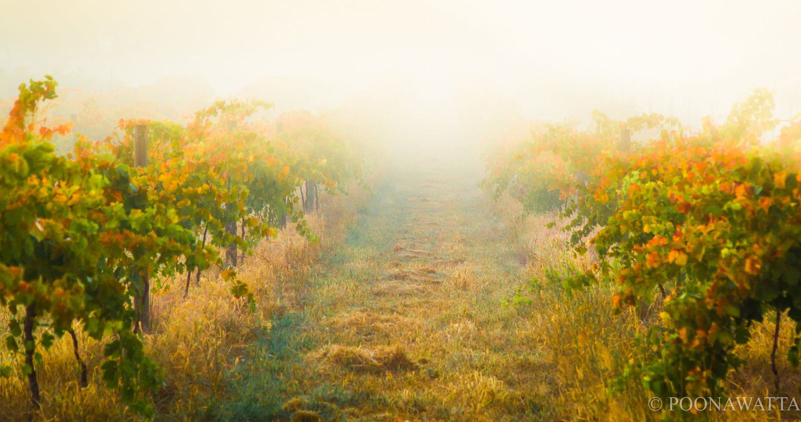 Flaxman Valley SA Suburb Australia