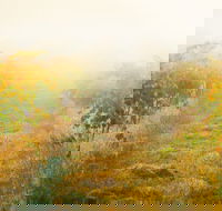 Poonawatta - Suburb Australia