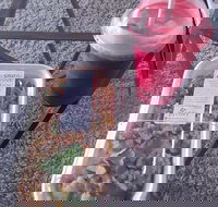 Little Shop of Plenty - Suburb Australia