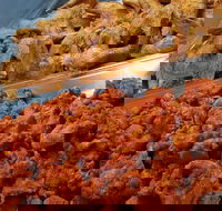 Spice Blast - Suburb Australia