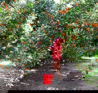 Fords Farm - Suburb Australia