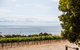 Bay Of Shoals Wines - thumb 2