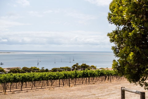 Bay Of Shoals Wines - Suburb Australia 2