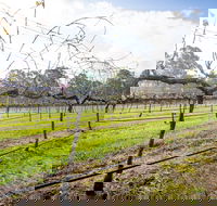 Long Point Vineyard and Art Gallery - Suburb Australia
