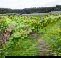 Suffoir Winery Brewery and Cidery - Suburb Australia