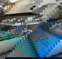 Fish and Chip Shop - Suburb Australia