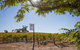 Hayes Family Wines - thumb 0