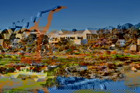 The Minya Vineyard Winery