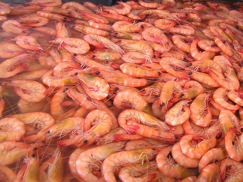 Grunske's By The River Seafood Market And Restaurant - Suburb Australia 0