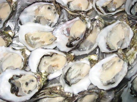 Grunske's By The River Seafood Market And Restaurant - Suburb Australia 1