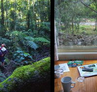 Mt Warning Rainforest Park - Suburb Australia