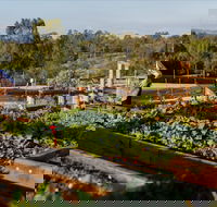 Homage - Suburb Australia
