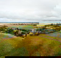 Pettavel Wines - Suburb Australia