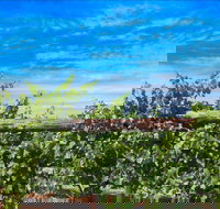 Rowsley Fault Vineyards - Suburb Australia