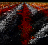 Sandhurst Ridge - Suburb Australia