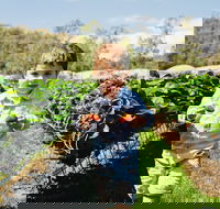 Hillwood Berries Farmgate  Pick Your Own - Suburb Australia