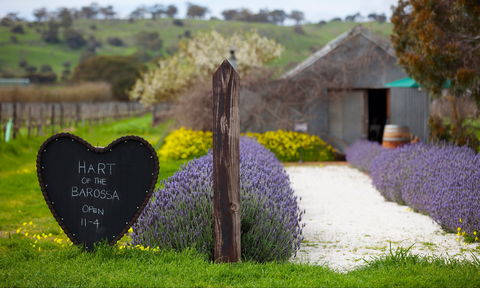 Hart Of The Barossa - Suburb Australia 0