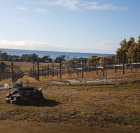 Overtime vineyard - Suburb Australia