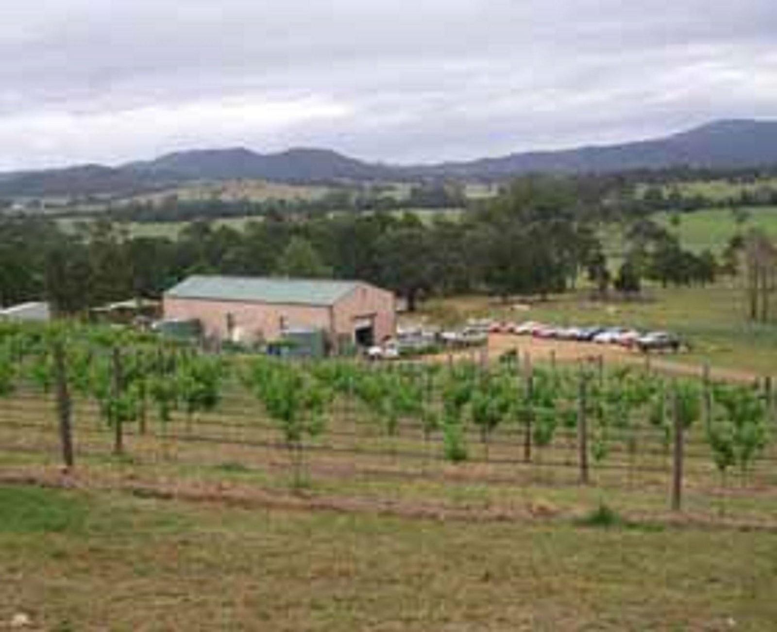 Dyers Crossing NSW Suburb Australia