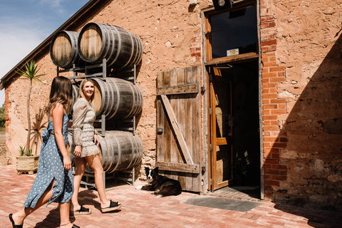 Shingleback Wine - Suburb Australia 1