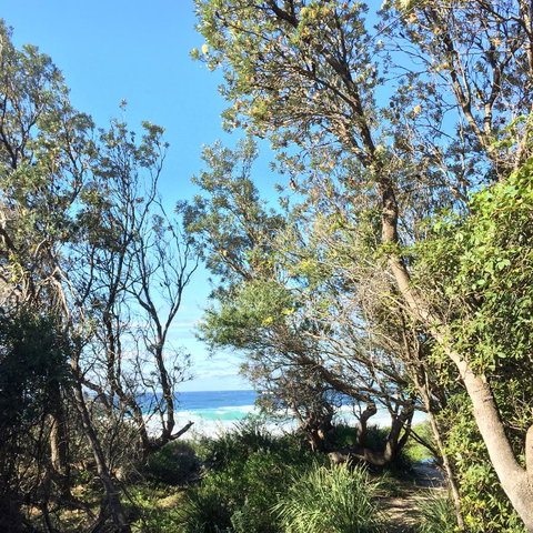 Salthouse Berrara - Suburb Australia 22