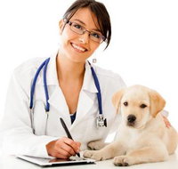 HIGHLANDS VETERINARY GROUP - Suburb Australia