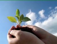 Herbalists East Maitland NSW Suburb Australia