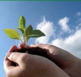 Vital Spirit Natural Health - Suburb Australia