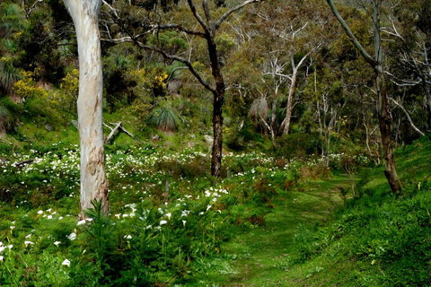 Lure Bed And Breakfast - Suburb Australia 17