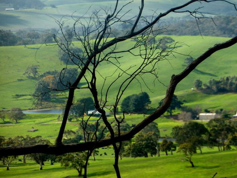 Lure Bed And Breakfast - Suburb Australia 21