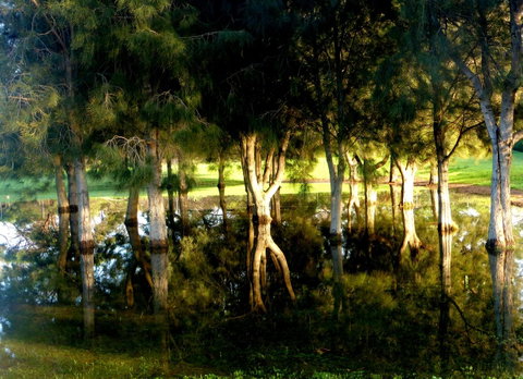 Lure Bed And Breakfast - Suburb Australia 18